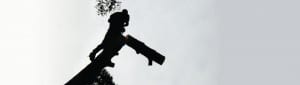 Removing hazzardous trees in Victoria BC