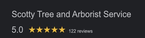 Victoria Trees 5 star google review